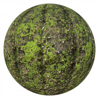 PBR texture moss 4K